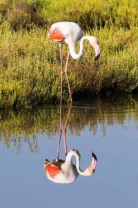 Holiday Home Paquita SB