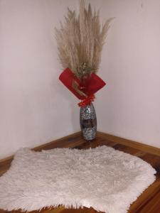 Vikendica Ivana