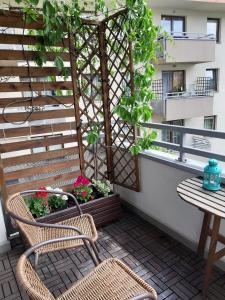 W Krakowie u Helenki