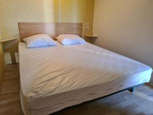 Campings Resort & Camping - Val de Braye : Mobile Home