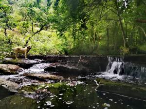 Haraneko errota Goiatzena