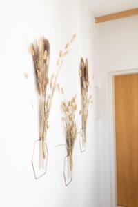 Apartmán v srdci Znojma „Jako doma“