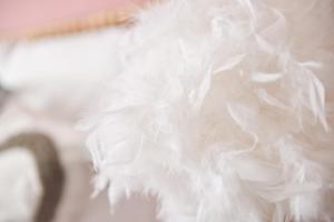 Sauna - Le 65 Degrés - Gare