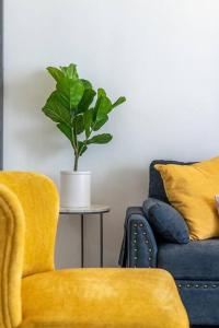 Beautiful 3 bedroom apartment in Brickell Miami