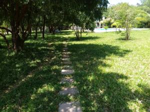 Hidden Jewel by the Creek