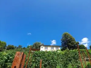 Cascina Teresina - Zelbio