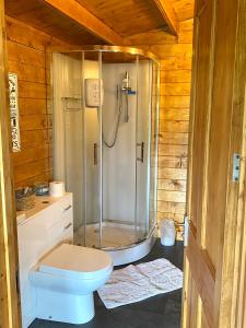 The Postage Stamp Cabin