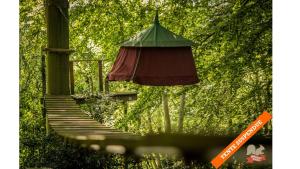 Campings Woody Park : photos des chambres