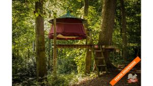 Campings Woody Park : photos des chambres