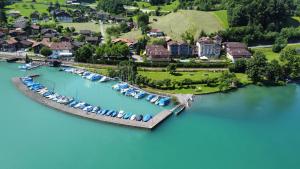 Seeparadiesli am schönen Thunersee