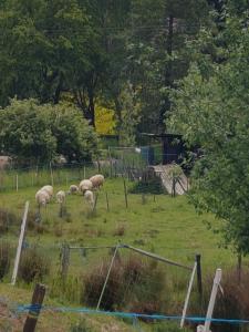 Maisons de vacances Gite a la Source : photos des chambres