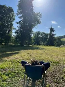 LANGRES- NOGENT 52800 - LA FORGE - sortie autoroutes A5-A31-15KM Langres - 诺让-巴西尼