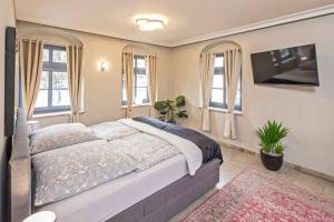 Cosel Palais Appartement