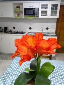 Casa e Flat Conforto Gramado