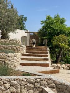 Villas Le Domaine VDH a Saint-Paul de Vence : photos des chambres