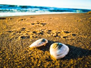 Bałtyk 44 na Wydmach