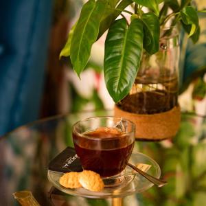 Caracoral Hotel Boutique