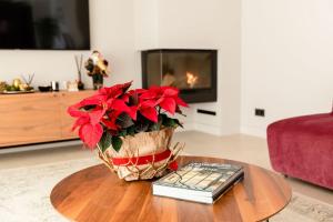 SPA LUXURY VILLA *****