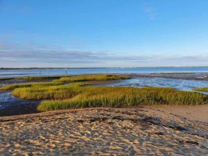 Appartements Au coeur du Bassin d'Arcachon,tres bel appartement avec terrasse : photos des chambres
