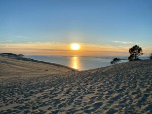 Appartements Au coeur du Bassin d'Arcachon,tres bel appartement avec terrasse : photos des chambres