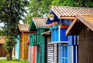 Appartements Au coeur du Bassin d'Arcachon,tres bel appartement avec terrasse : photos des chambres