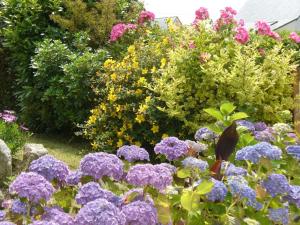 Maisons de vacances Holiday Home in Plouarzel near Sandy Beach : photos des chambres