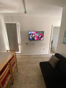 Apartment Ćuvita