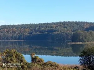 RELAXX Home - Penglitten