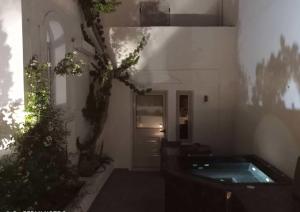 Sensia Luxury Studio with Hot tub