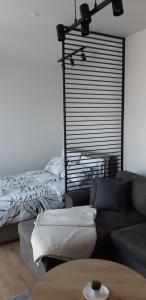Sokak Apartment