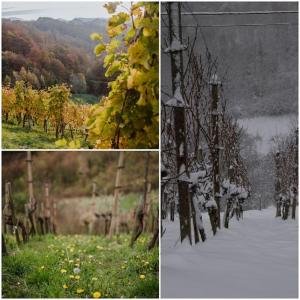 Haloze na dlani - Haloze in your hand, hiša s pogledom na hribe - a house vith a view of hills 