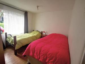 Camping & Cabaña Los Arrayanes Niebla