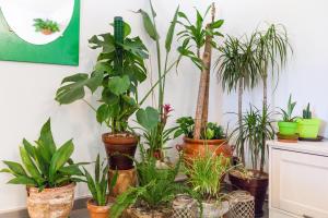 Boutique Beach Mataró