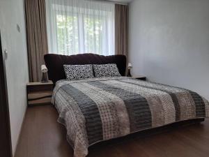 Trumpalaikė nuoma centre