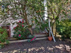 Appartements Studio cosy - proche gare & centre-ville - stationnement - cour interieure table & chaises : photos des chambres