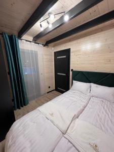 Złota Szyszka Radawa