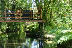 Riba Rio - Unique Nature Spot