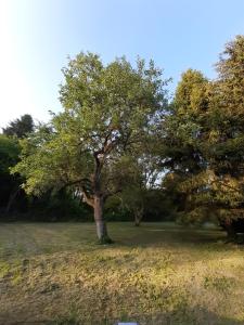 B&B / Chambres d'hotes Au Charme de l'Eure : photos des chambres