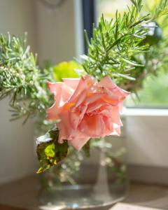 Design+Bodenseesicht=zuHause BLAU