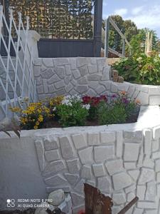 Rosa dei Venti house