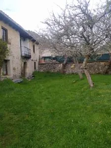 CASA DAMIAN - Triollo