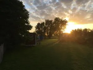 In de Wolf - Bassevelde