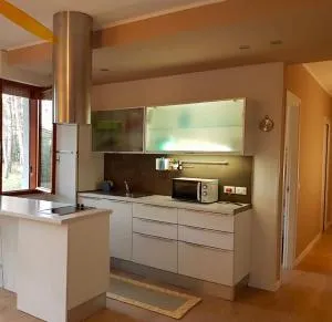 DONATELLO - 利尼亚诺海滨