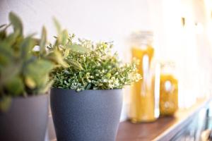 Haus8 – dein Genussferienhaus