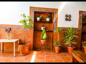 SEÑORÍO de MARÍN piscina climatizada exterior