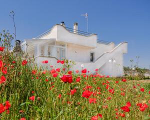 Villa 3 Chambres