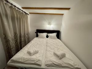 Forest House Divcibare