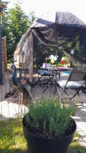 B&B / Chambres d'hotes L'amarre aux anges : photos des chambres