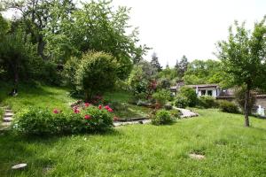 Lodges Les Grangeonnes, gites nature, piscine, sauna pour accueil familiale ou de groupe : photos des chambres