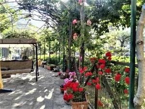 Il Gelso - 皮蒙泰